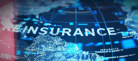 Reinsurance License - 2026